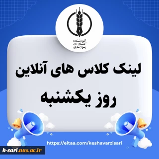 کلاس های آنلاین روز یکشنبه