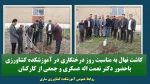 کاشت نهال در روز درختکاری 2
