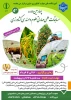 مسابقات علمی مهارتی