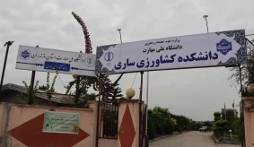 نصب تابلوی سردر ورودی دانشکده با عنوان دانشگاه ملی مهارت