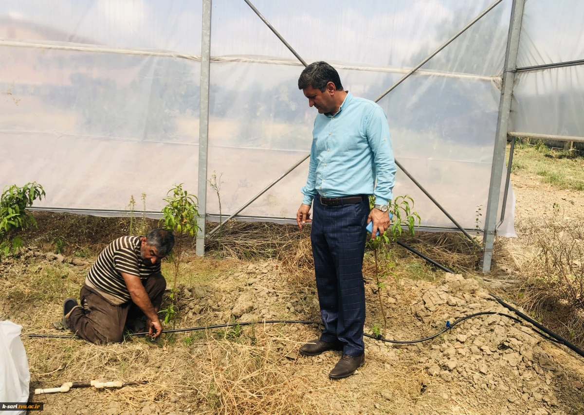 آبیاری قطره ای