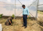 آبیاری قطره ای