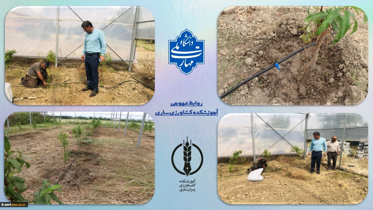 آبیاری قطره ای
