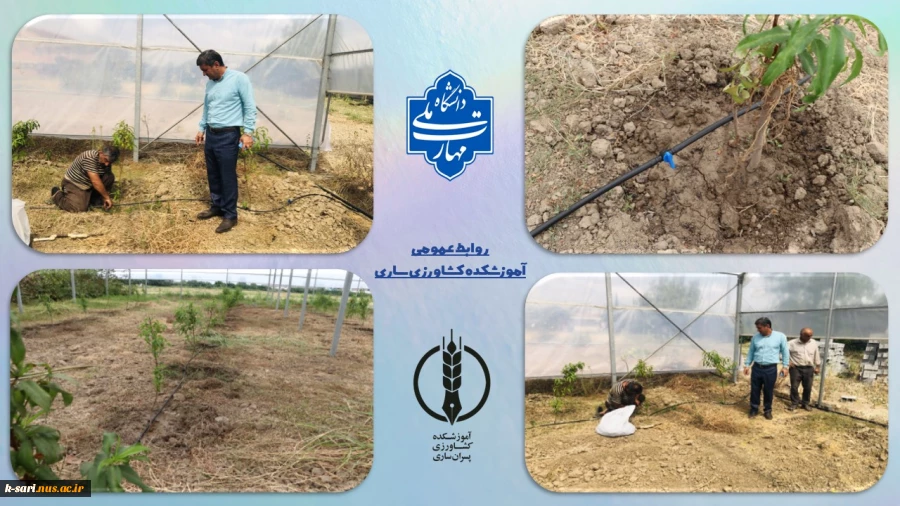 آبیاری قطره ای