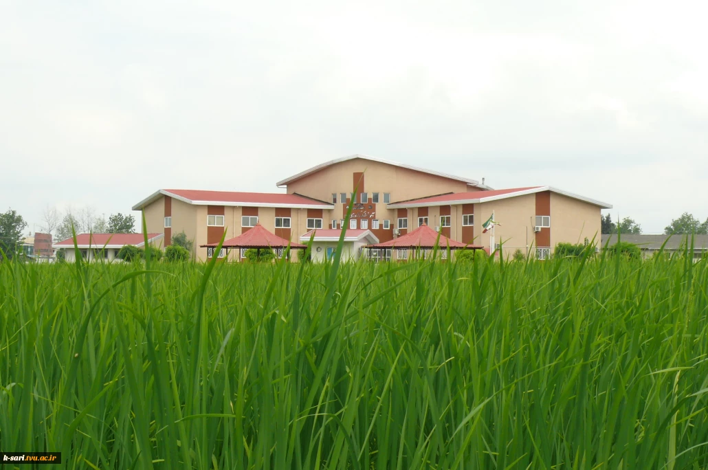 k-sari.tvu.ac.ir