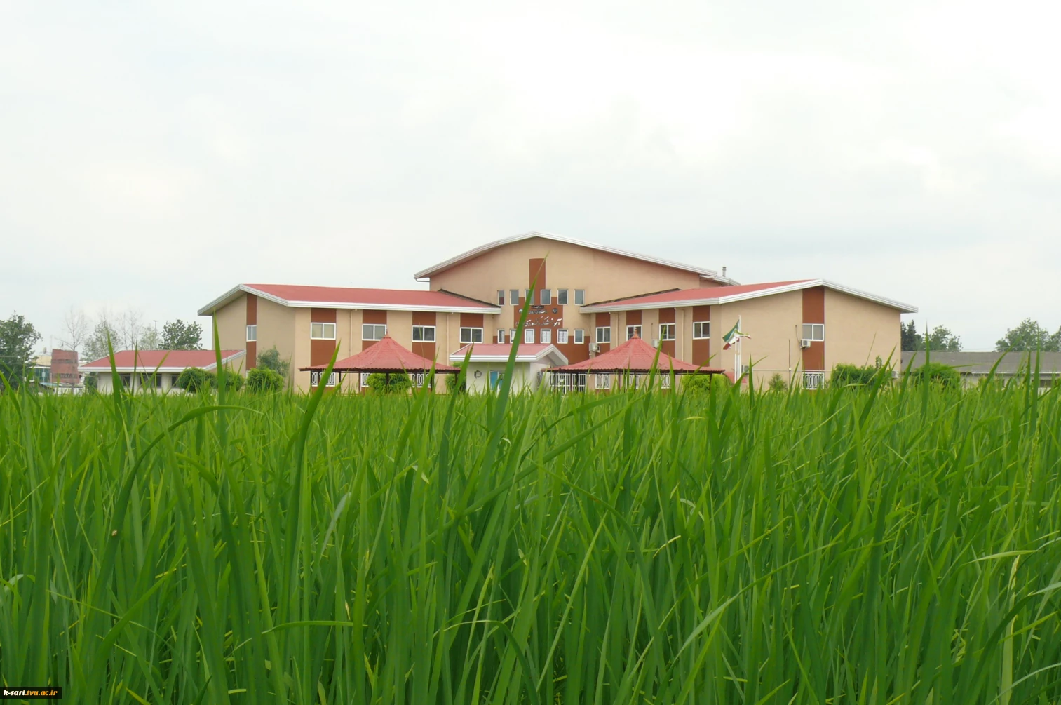 k-sari.tvu.ac.ir