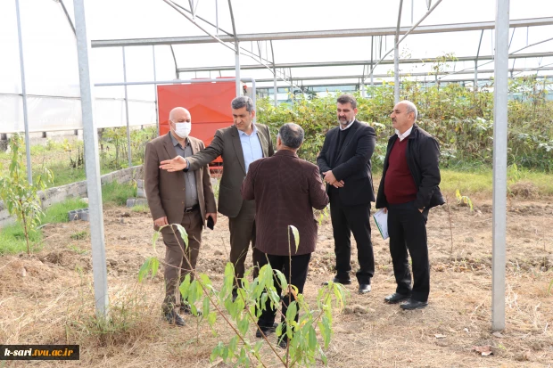 بازدید نمایندگان نظارت، ارزیابی و تضمین کیفیت دانشگاه ملی مهارت از آموزشکده کشاورزی ساری 4