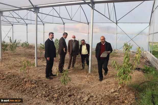 بازدید نمایندگان نظارت، ارزیابی و تضمین کیفیت دانشگاه ملی مهارت از آموزشکده کشاورزی ساری 5